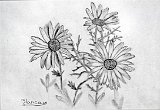 Blanca-Romero-Flores