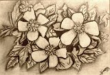 Carmen-Tamara-Toro-Flores