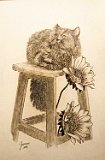 Guerrero-Gato