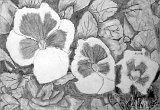 Marta-Melgar-Flores