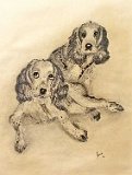Sonia-Rodriguez-Perros