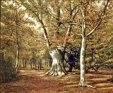 Paisaje-1